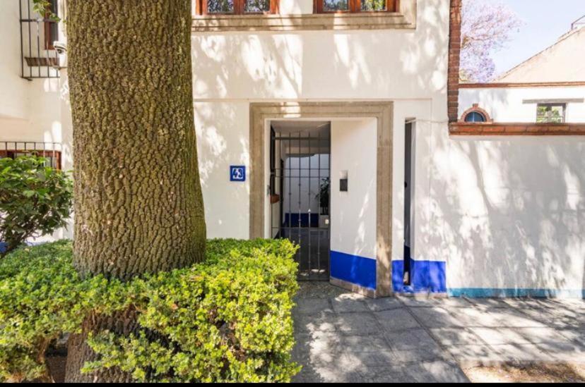 Siete Puertas Coyoacan 멕시코 시 외부 사진