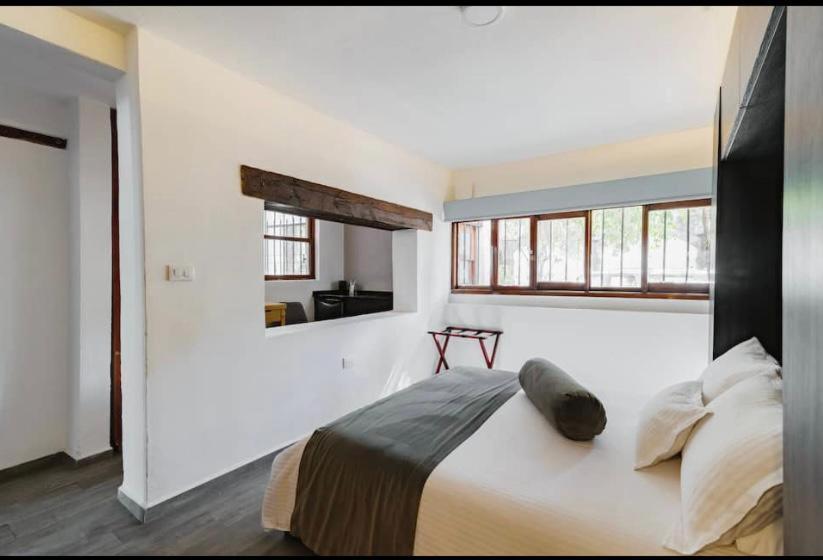 Siete Puertas Coyoacan 멕시코 시 객실 사진